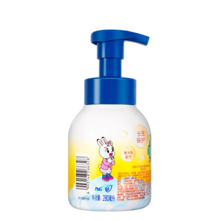 Safeguard 舒肤佳 香柚农场健康泡泡洗手液 280ml