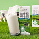新希望 原态牧场纯牛奶200ml*24盒 整箱装 3.3g乳蛋白 年货