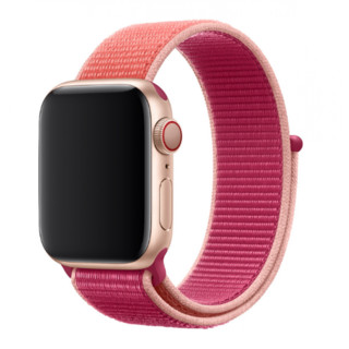 Apple 苹果 Watch Series 5 GPS+蜂窝款 智能手表 40mm 金色铝金属表壳 石榴色回环式运动表带 (GPS)