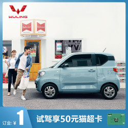 WUlING 五菱 宏光MINIEV 新能源车五菱汽车新车