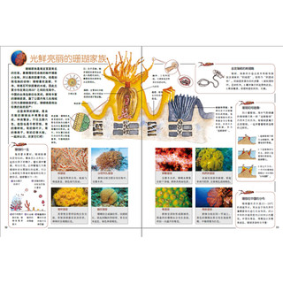 《我的自然生态图书馆·搜奇海龙宫》（精装）