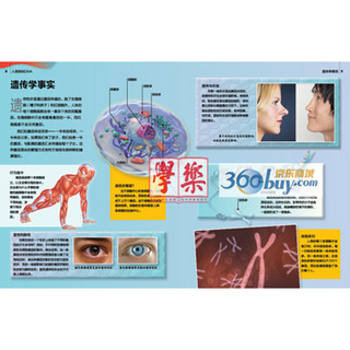 《中国少年儿童科学普及阅读文库·探索·科学百科·中阶·4级C卷套装》（精装、套装共4册）