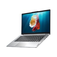 Lenovo 联想 小新 Air 14 2020款 酷睿版 14.0英寸 轻薄本 银色(酷睿i5-1035G1、MX350、16GB、512GB SSD、1080P）