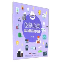 《爱科学小月历书系·智能电网会动脑筋的电路》