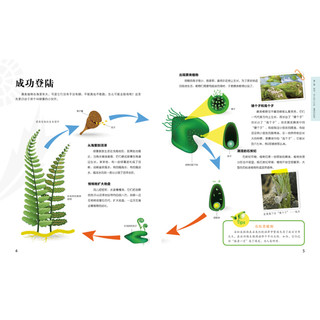 《彩书坊·超有趣：儿童植物课堂》