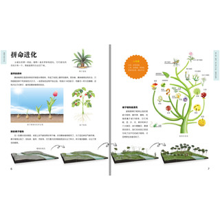 《植物王国大百科》（精装）