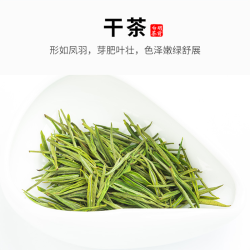 煮者 2021年新茶 明早春安吉头采绿茶 100g/罐