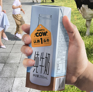 ADOPT A COW 认养一头牛 纯牛奶 250ml*12盒*4箱