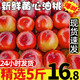 水果 现货黄心油桃5斤桃子应季当季新鲜整箱黄肉超甜脆桃水蜜桃10