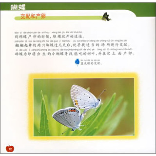 《新法布尔自然观察法12·第1辑·昆虫王国：蝴蝶》