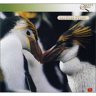 《新法布尔自然观察法22·第2辑·水王国：企鹅》