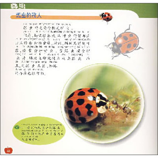 《新法布尔自然观察法6·第1辑·昆虫王国：瓢虫》