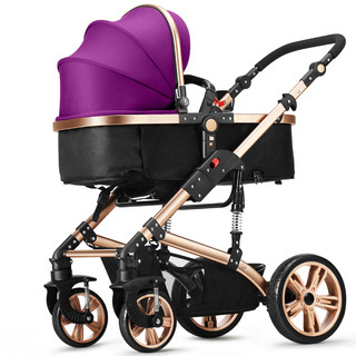 TEKNUM 661-8HT 婴儿推车 香槟紫