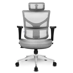 Ergomax 迩高迈思 ALX人体工学电脑椅办公椅 银灰色