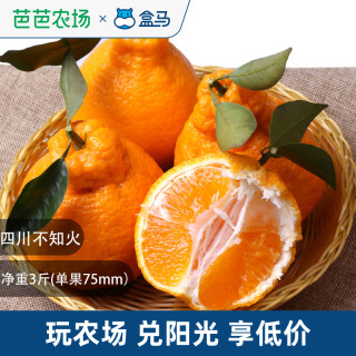 盒马 四川不知火丑橘净重3斤单果75mm+当季新鲜水果脆甜 三斤