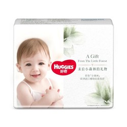 HUGGIES 好奇 心钻装拉拉裤 L4片 派样装