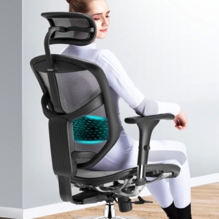 Ergonor 保友办公家具 金卓系列 人体工学电脑椅
