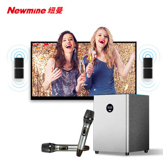 Newmine 纽曼 家庭ktv音响套装 家庭影院音响卡拉ok环绕组合套装 家用电视音响客厅蓝牙音箱