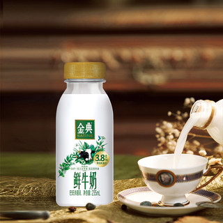 SATINE 金典 鲜牛奶 235ml*8瓶