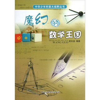 《中华少年科普大视野丛书·魔幻的数学王国》