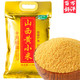 88VIP：SHI YUE DAO TIAN 十月稻田 沁州黄小米  2.5kg