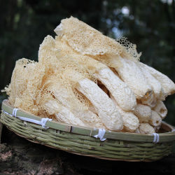 农家古田竹荪干货特级野生煲汤竹笙天然菌菇味道鲜美 竹荪50g
