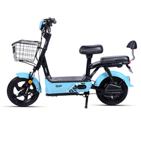 TAENT 踏浪 跃动 电动车 TDT134Z 48V/20AH铅酸电池 云雾蓝