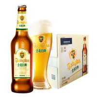 TSINGTAO 青岛啤酒 全麦白啤 330ml*12瓶