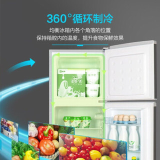 志高（CHIGO）冰箱小冰箱 双门迷你小型电冰箱 家用租房冷藏冷冻节能电冰箱 98A148星光银