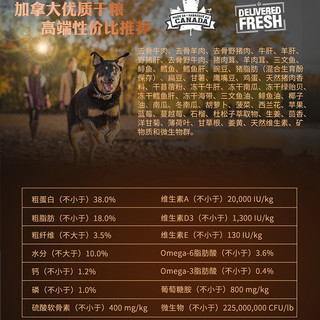 纽翠斯狗粮NUTRIENCE黑钻赤红草原多肉犬粮 天然无谷冻干进口全犬主粮金毛柯基泰迪 22磅/10kg 黑钻赤红草原多肉混合冻干全犬粮