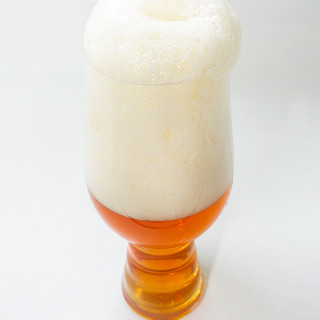 TSINGTAO 青岛啤酒 原浆啤酒 1L*2罐