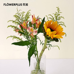 FlowerPlus 花加 简约混合鲜花 向日葵1枝+黄莺2枝+香槟色六出1枝