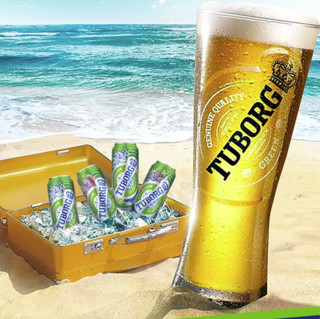 TUBORG 乐堡啤酒 500ml*12听