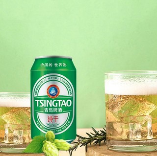 TSINGTAO 青岛啤酒 纯干 啤酒 330ml*24听