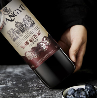 CHANGYU 张裕 解百纳 特选级 干红葡萄酒 750ml