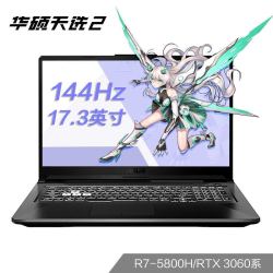 ASUS 华硕 天选2Plus 17.3英寸游戏笔记本电脑（R7-5800H、16GB、512GB、RTX3060、144Hz）