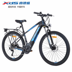 XDS 喜德盛 领先500 X6电动车 18寸