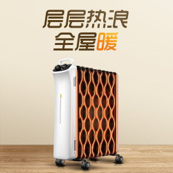 SINGFUN 先锋 DYT-L1 电暖器