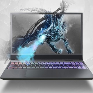 Shinelon 炫龙 T3Ti 15.6英寸 游戏本 黑色(酷睿i7-9750H、GTX 1660Ti 6G、16GB、512GB SSD、1080P、IPS）