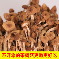 李绅  茶树菇  500克1斤