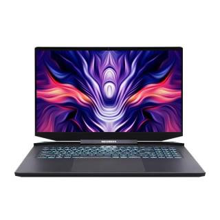 MECHREVO 机械革命 钛钽 PLUS 17.3英寸 游戏本 黑色(酷睿i7-11800H、RTX 3070 6G、16GB、512GB SSD、2K、165Hz)