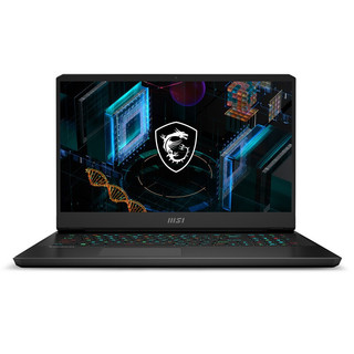 MSI 微星 冲锋坦克2 Pro GP76 17.3英寸游戏笔记本电脑（i7-11800H、16GB、1TB SSD、RTX3070）