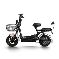 PALLA 新大洲 B1 新国标电动自行车 TDT603-1Z 48V20Ah锂电池 银白