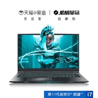 MECHREVO 机械革命 深海泰坦 X10 Pro 17.3英寸笔记本电脑（i7-11800H、16GB、512GB、RTX 3070）