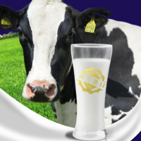 Globemilk 荷高 荷兰原装进口 3.7g优乳蛋白全脂纯牛奶 1L*6 年货送礼优选
