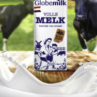 Globemilk 荷高 全脂纯牛奶 1L*6 荷兰进口 3.7g高蛋白