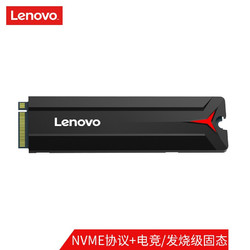 ThinkPad 思考本 联想（Lenovo) SSD固态硬盘 512GB M.2接口(NVMe协议) SL700拯救者系列 2280板型 数据传输稳定 秒速开机
