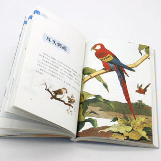 《布丰自然史之动物王国》（插图典藏版、套装共2册）