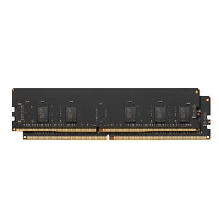 Apple 苹果 Apple 16GB (2x8GB) DDR4 ECC 内存套件