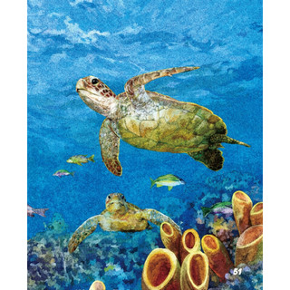 《海洋动物探秘故事丛书·绿海龟和红海龟》
